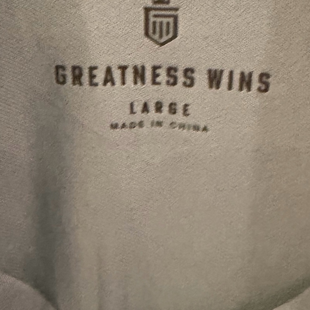 Greatness Wins Men’s Quarter Zip Performance Pullover Gray Large - Picture 3 of 5